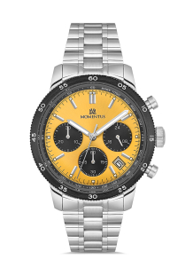 CC303T-13SS Herrenarmbanduhr